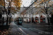 桃红tv 全网网友高能评论墙，桃红视频下