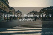 探花视频 专区：流量爆点情报局，探花视频贴吧