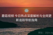 蘑菇视频 今日热点深度解析与全网更新追踪导航指南