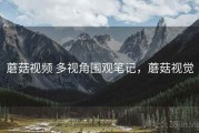 蘑菇视频 多视角围观笔记，蘑菇视觉