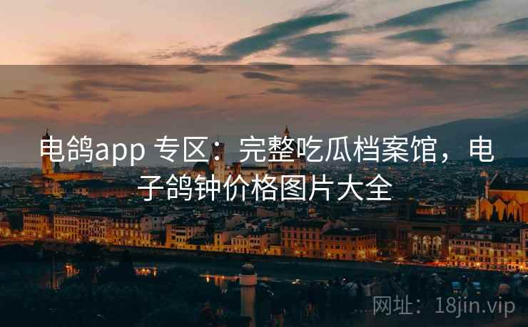 电鸽app 专区:完整吃瓜档案馆,电子鸽钟价格图片大全 电鸽app 专区:完整吃瓜档案馆,电子鸽钟价格图片大全