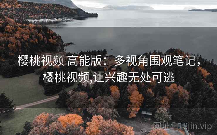 樱桃视频 高能版：多视角围观笔记，樱桃视频,让兴趣无处可逃