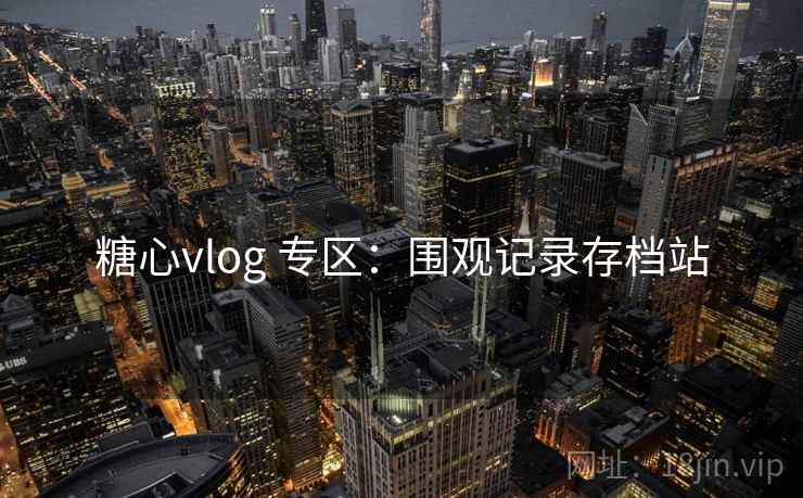糖心vlog 专区：围观记录存档站