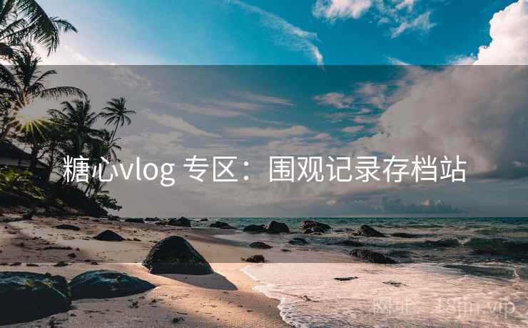 糖心vlog 专区：围观记录存档站