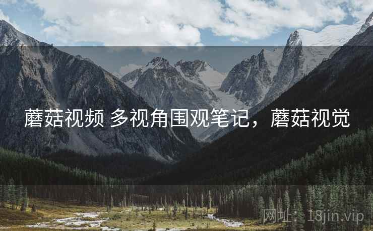 蘑菇视频 多视角围观笔记，蘑菇视觉