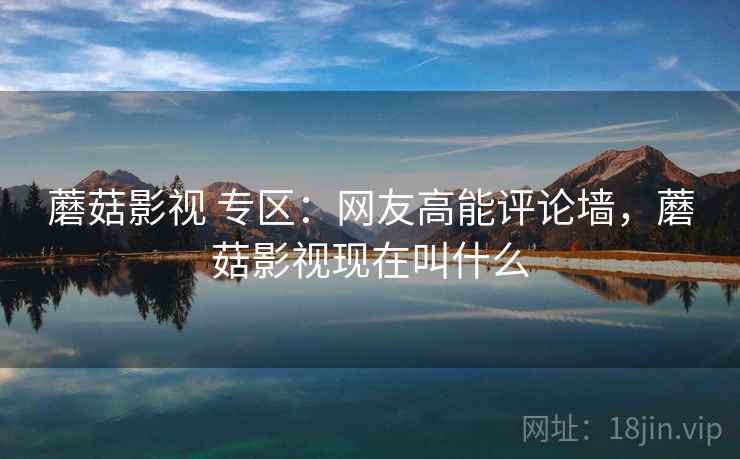 蘑菇影视 专区：网友高能评论墙，蘑菇影视现在叫什么